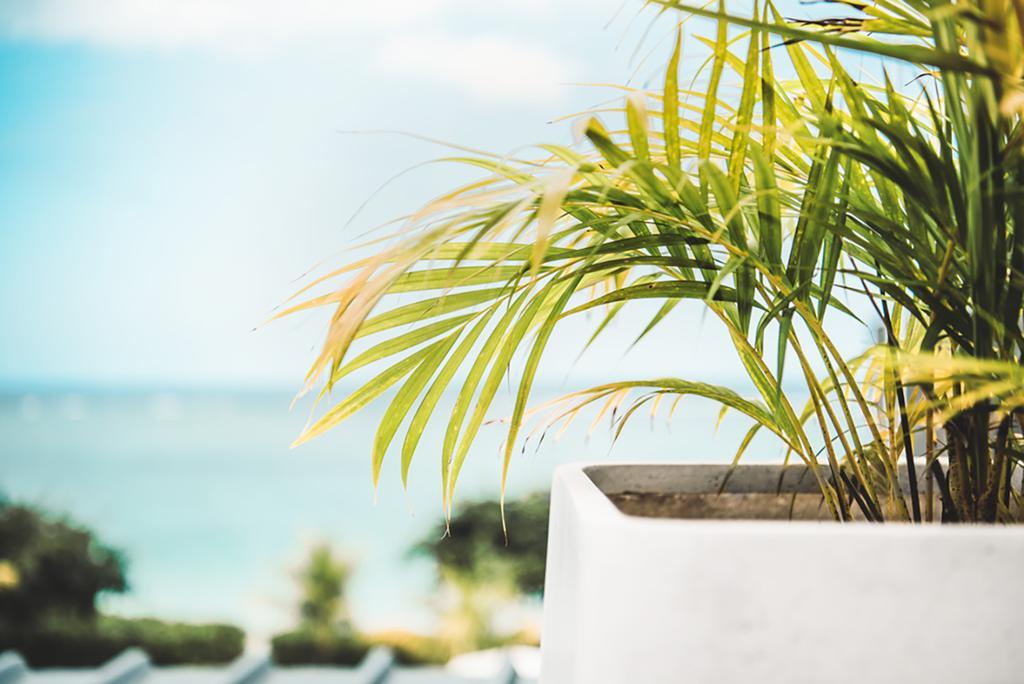 Cap Ouest Luxury Penthouse By Dream Escapes Apartment Flic en Flac Bagian luar foto